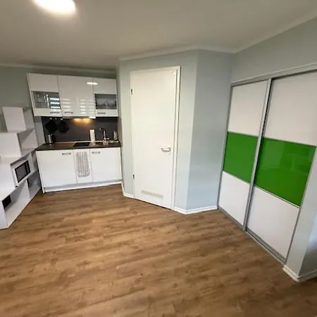 Gottwaldhaus-apartment- Olga فرايبرغ